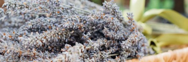 jessica-ruscello-99577